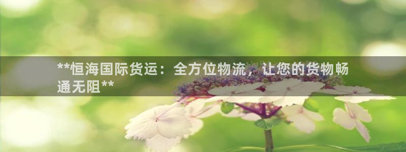 尊龙人生就是博下载：**恒海国际货运：全方位物流，让您的