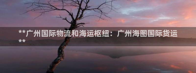 尊龙贴吧：**广州国际物流和海运枢纽：广州海图国际货运
