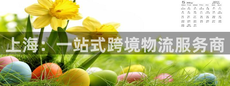 尊龙 国外
