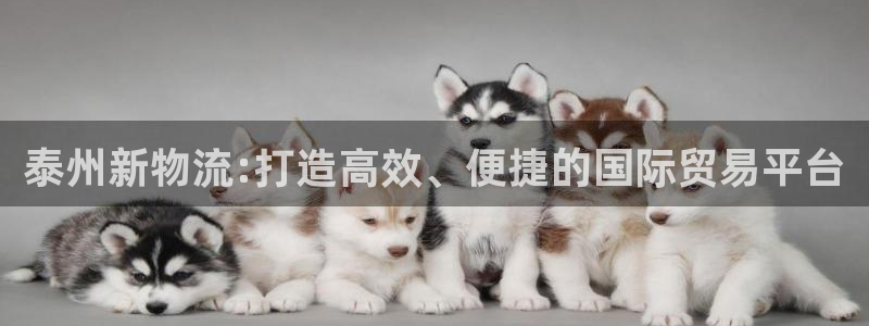 尊龙人生就是博D88