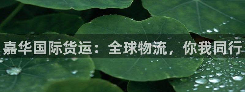 尊龙凯时人生就是搏客户