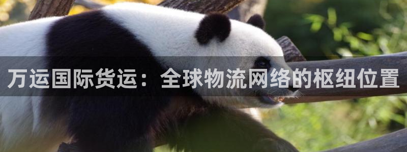 尊龙体育正规么