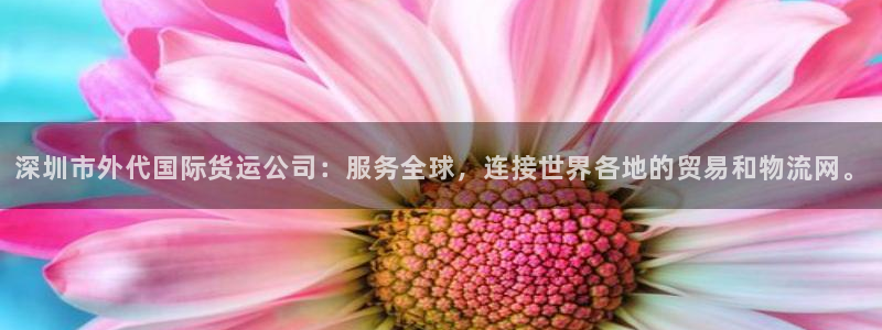 尊龙手机官方客户端下载安装