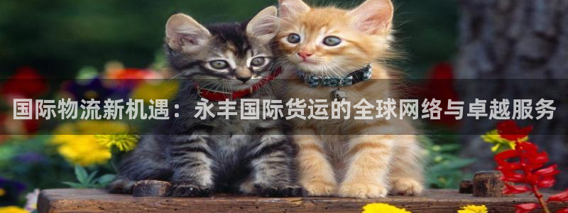尊龙人生就是博AG旗舰厅