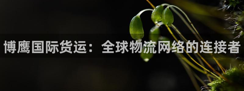 尊龙凯时家居是品牌吗
