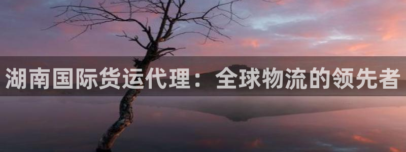 尊龙凯时ag旗舰厅官