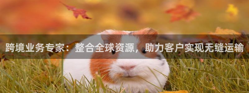 尊龙凯时请求参数不符合