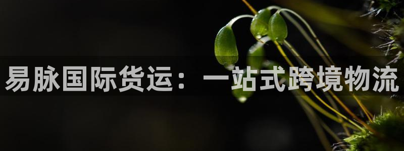 尊龙凯时网站是什么地方人开的