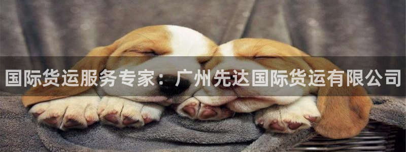 尊龙凯时官网登录入口：国际货运服务专家：广州先达国际货运