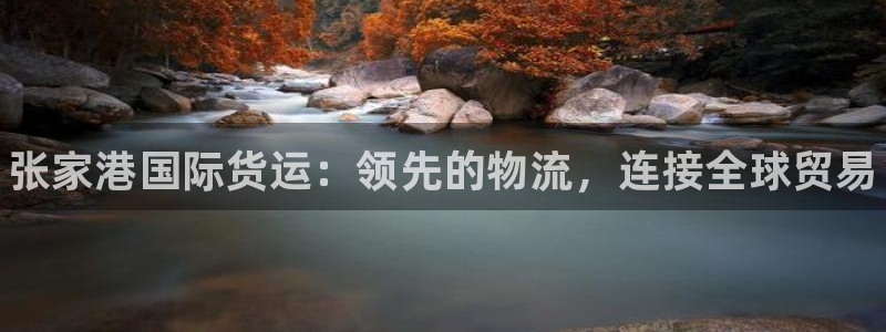 尊龙这个平台怎么样：张家港国际货运：领先的物流，连接全球