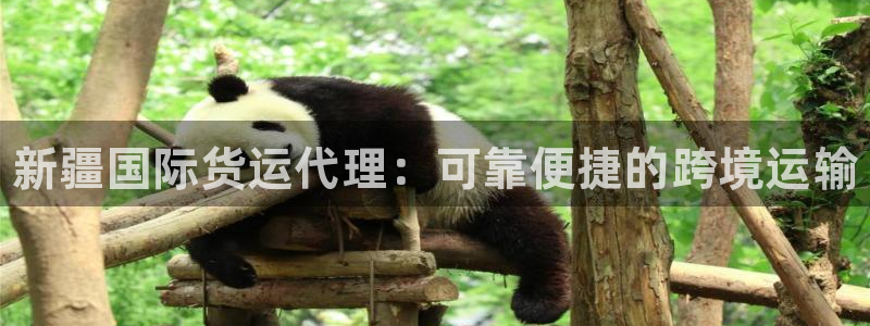 尊龙凯时注册入口：新疆国际货运代理：可靠便捷的跨境运输
