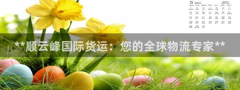 尊龙凯时取款不成功：**顺云峰国际货运：您的全球物流专家