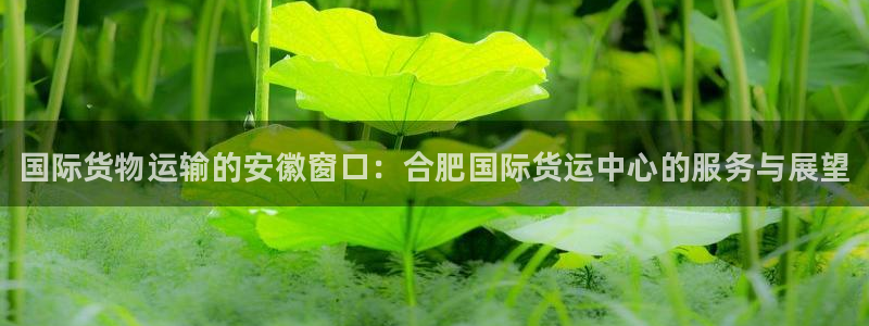 尊龙集团有限公司地址
