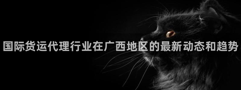 尊龙网站注册网：国际货运代理行业在广西地区的最新动态和趋